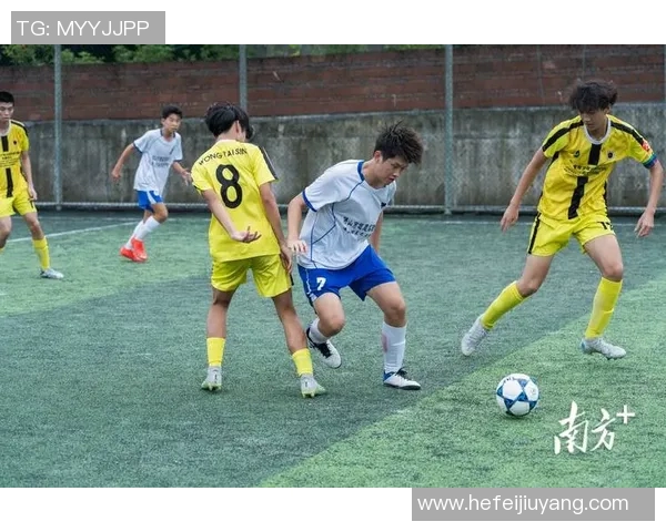 幼儿乐学足球明星故事视频带你走进绿茵场的奇妙世界